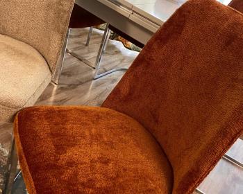 WhatsApp-Image-2026-02-09-at-16.32.23