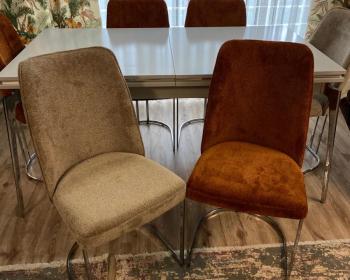 WhatsApp-Image-2026-02-09-at-16.32.24